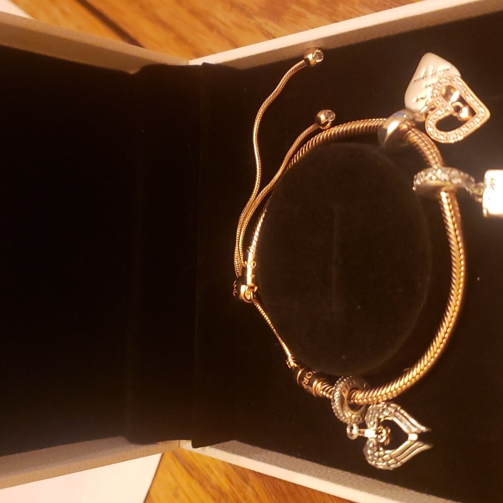 Pandora Charm Bracelet